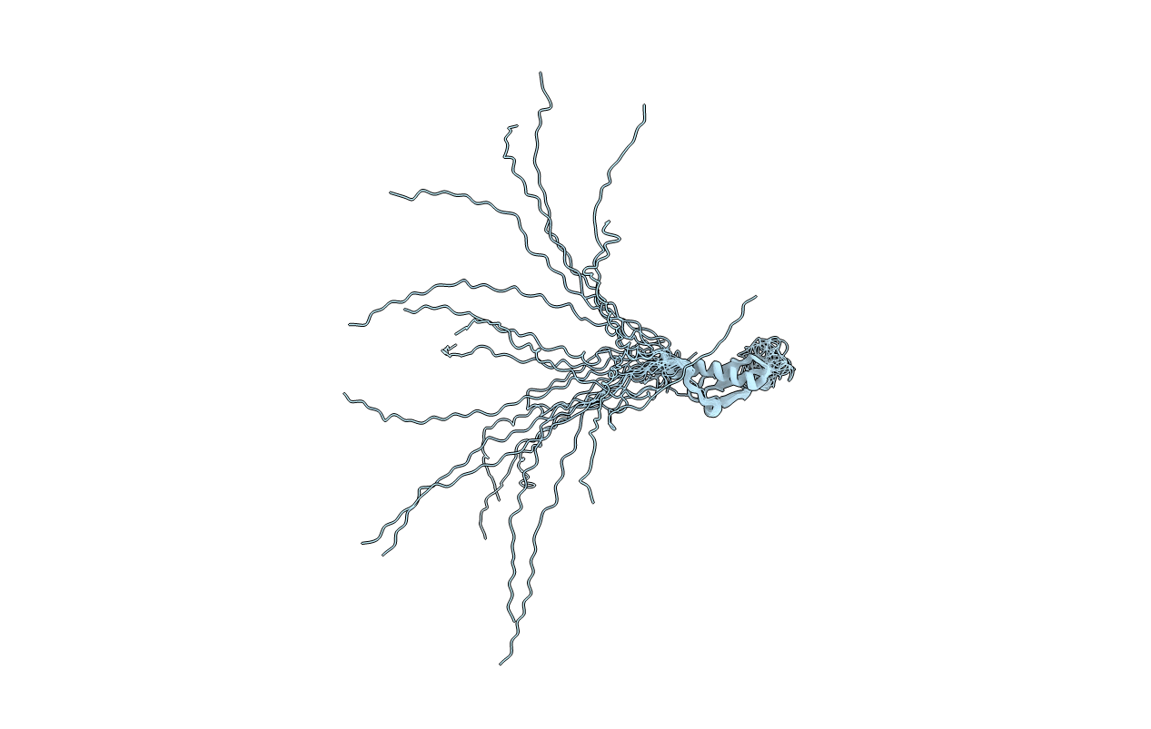 2RSM image