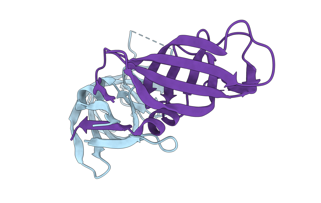 2RSP image