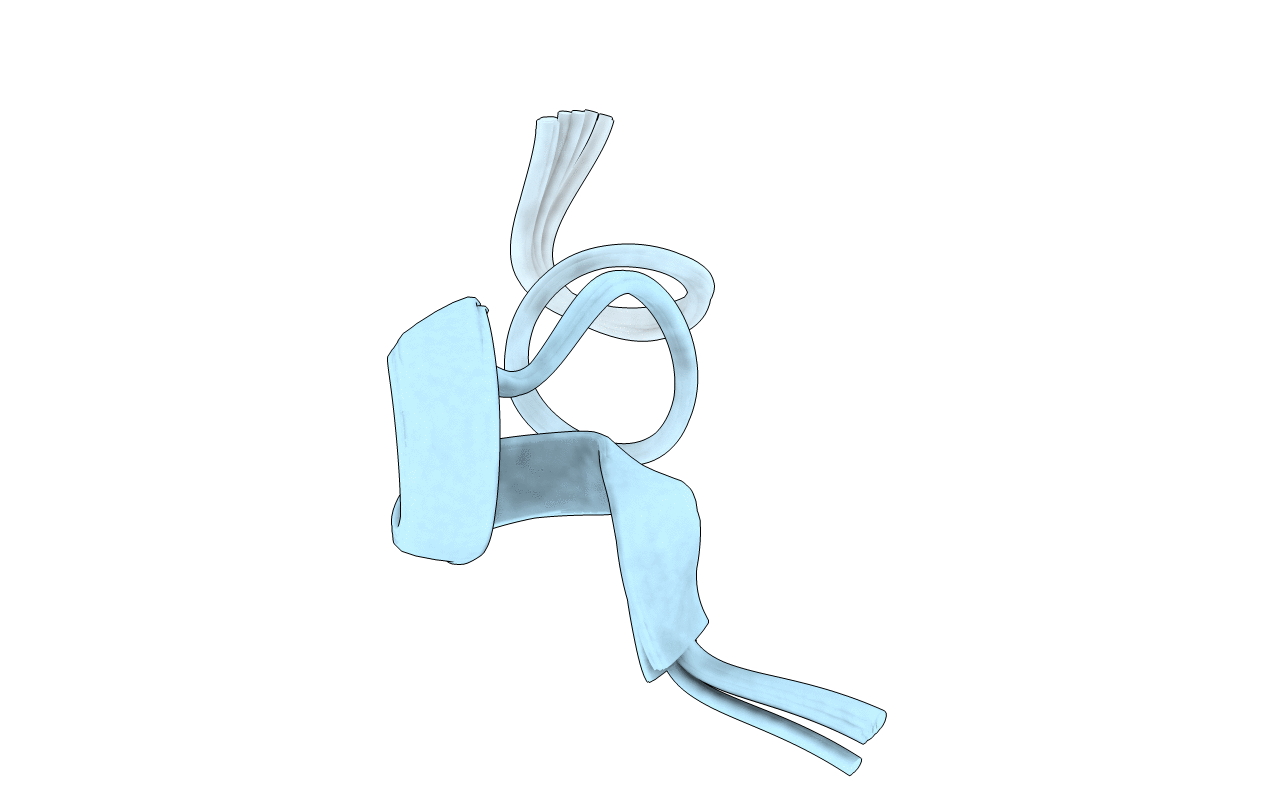 2RSW image