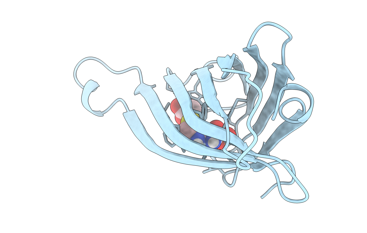 2RTM image
