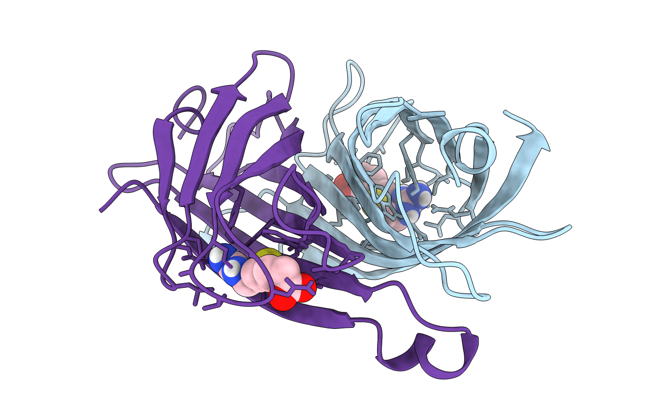 2RTP image