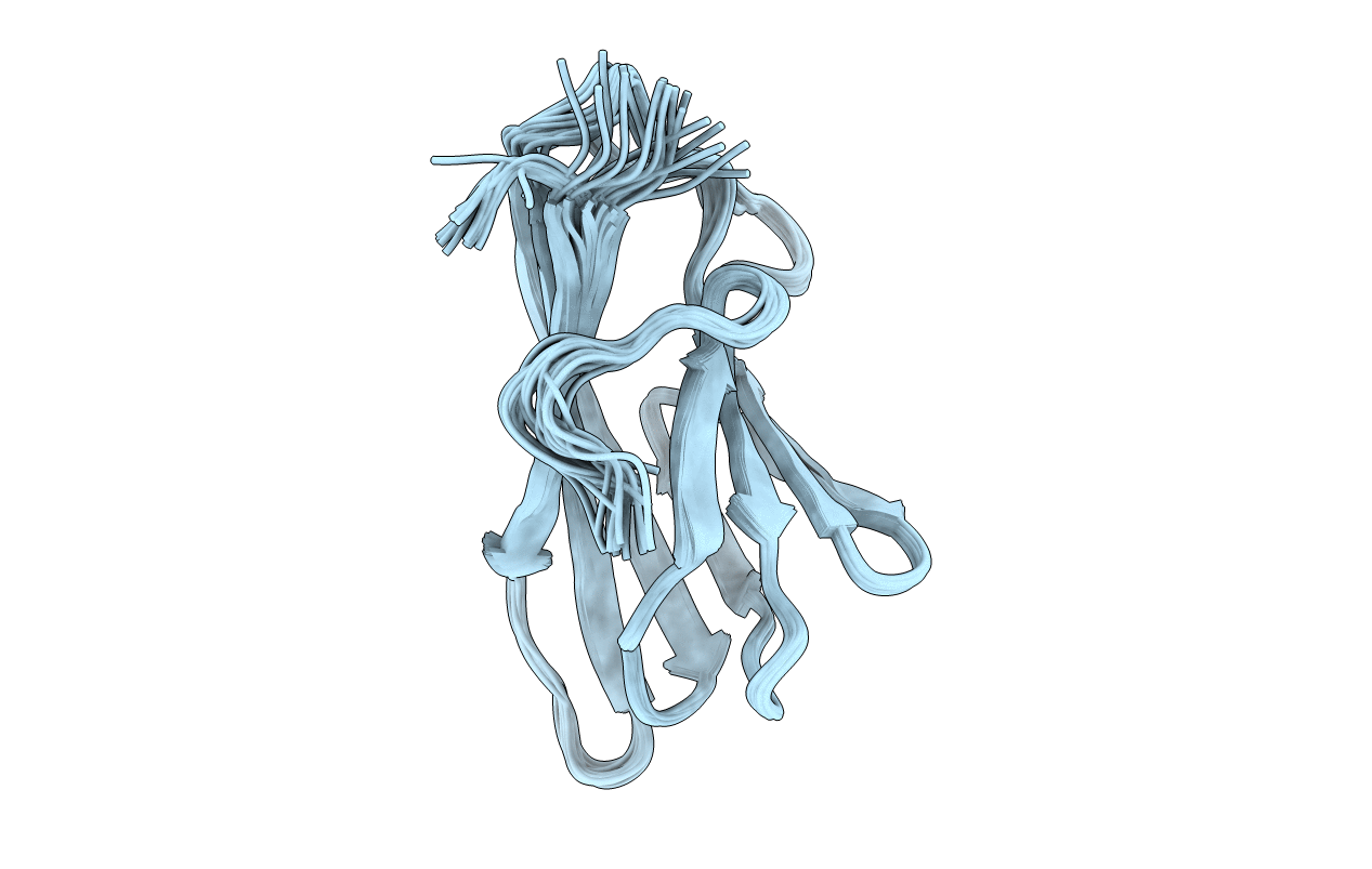 2RTT image