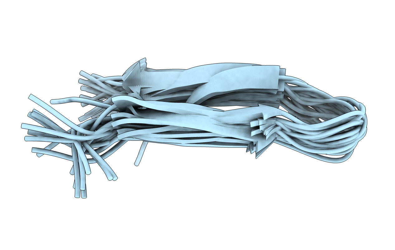 2RTV image