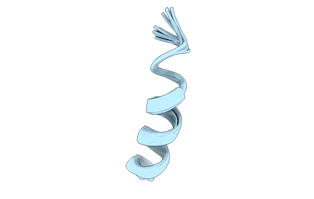 2RUO image