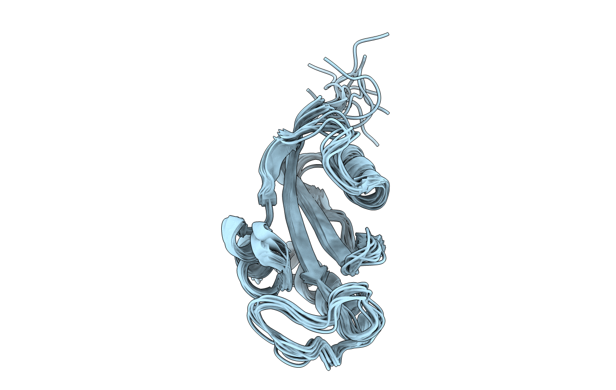 2RUR image