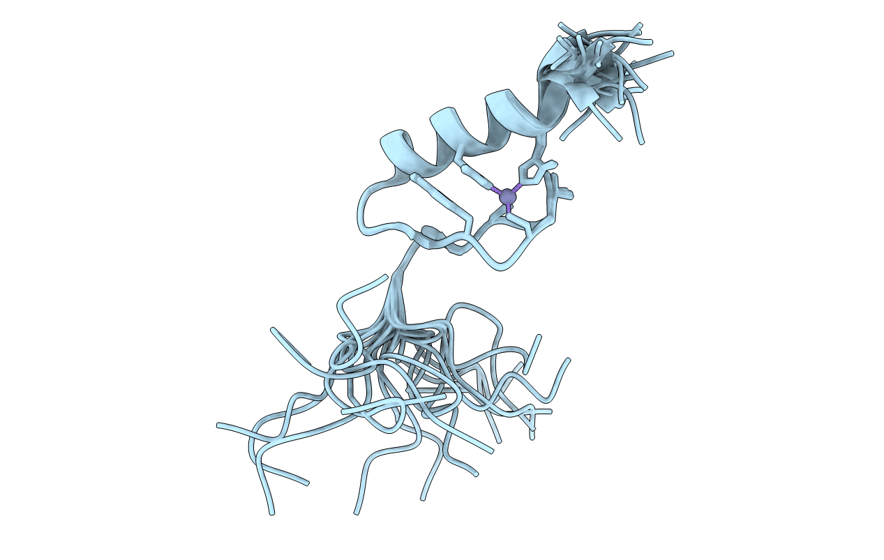 2RV2 image