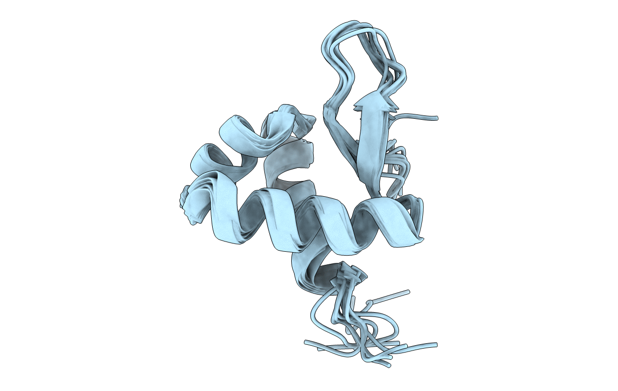 2RVC image