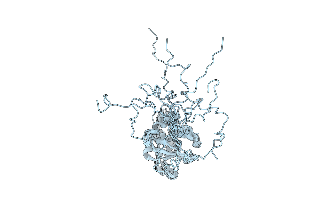 2RVK image