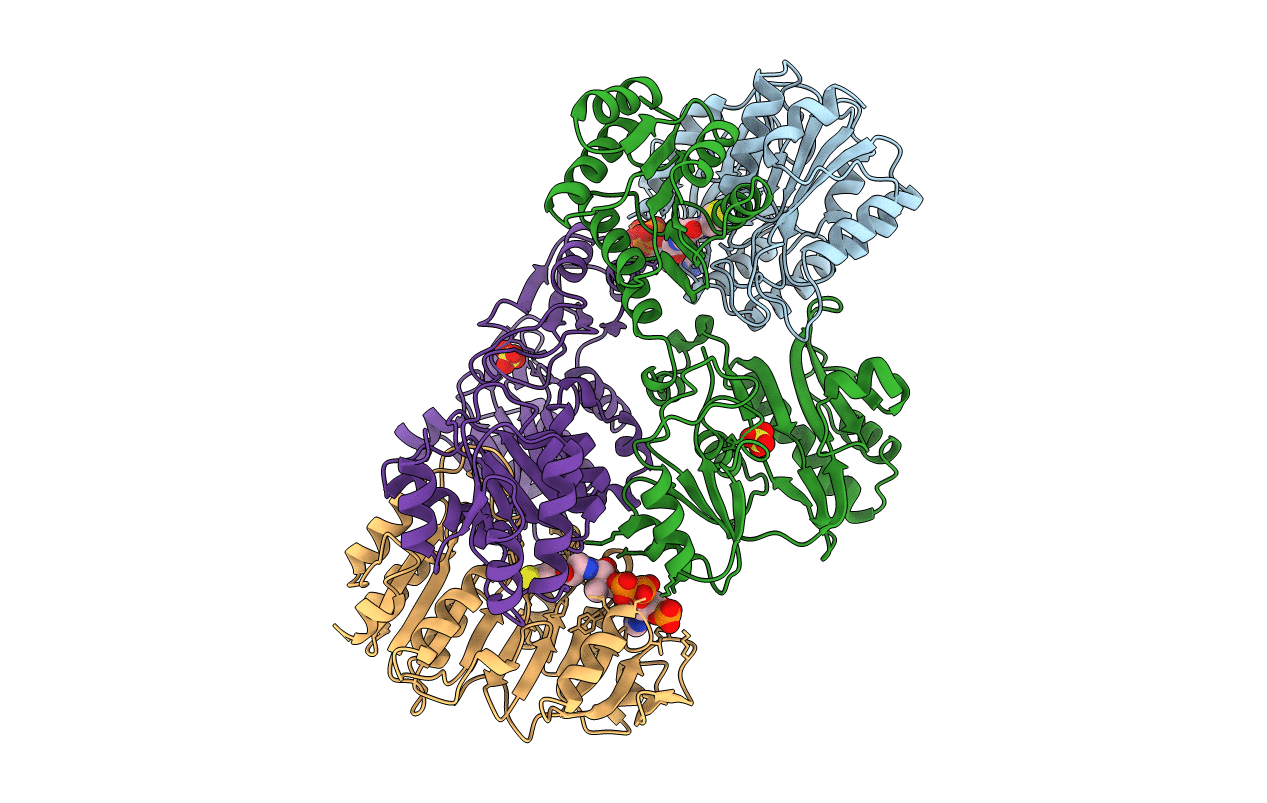 2SCU image