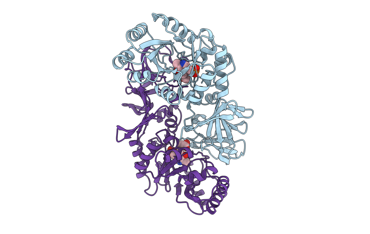 2SFP image