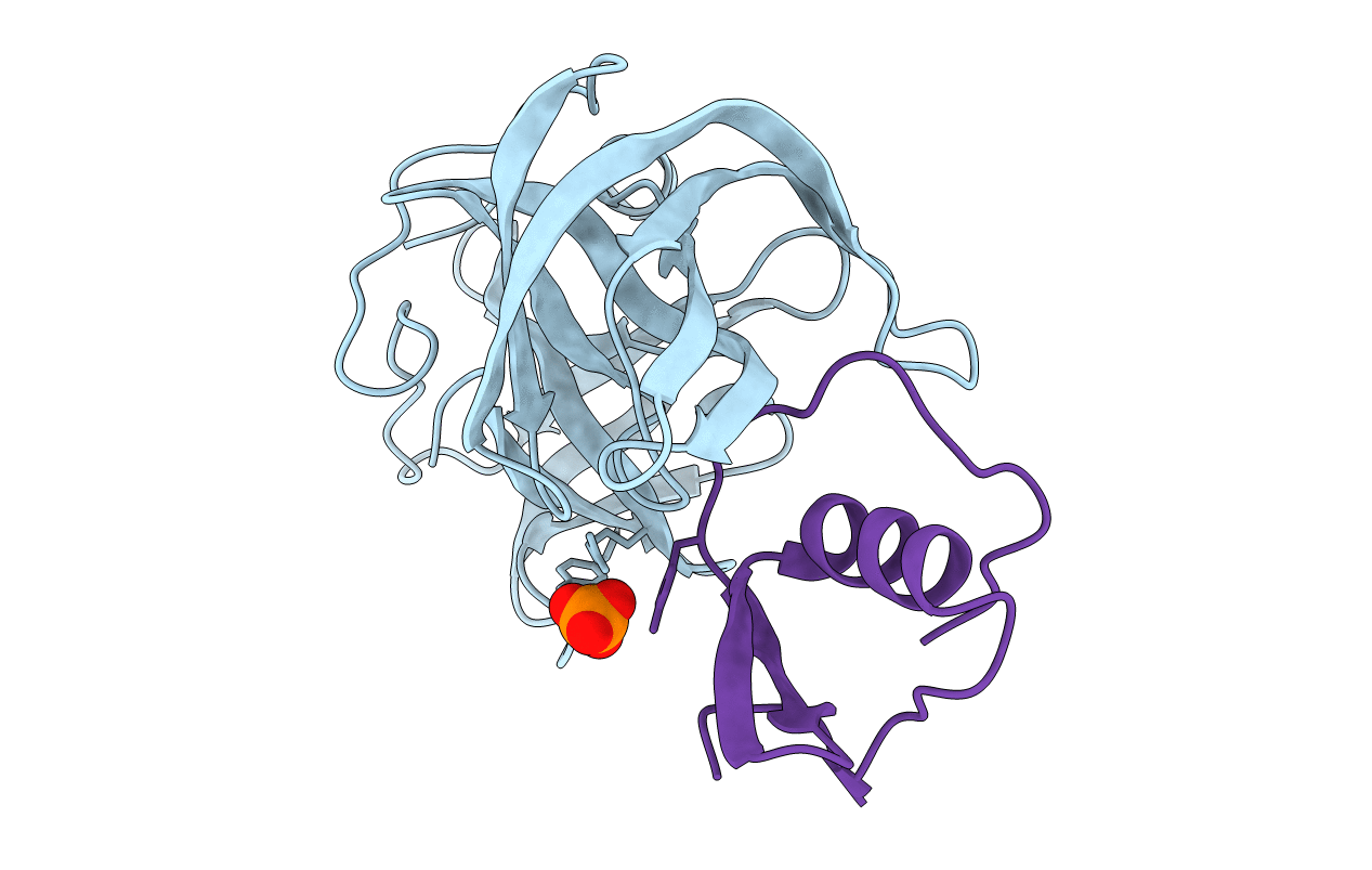 2SGP image