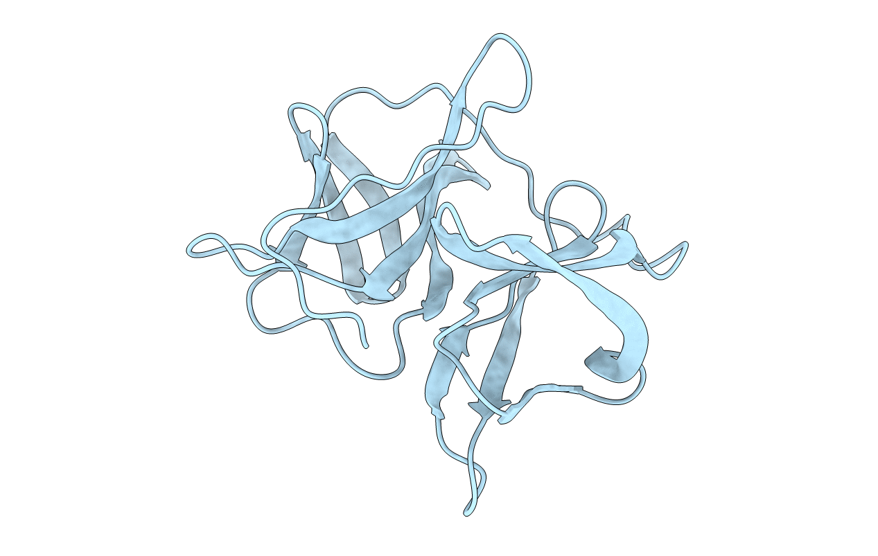 2SNV image