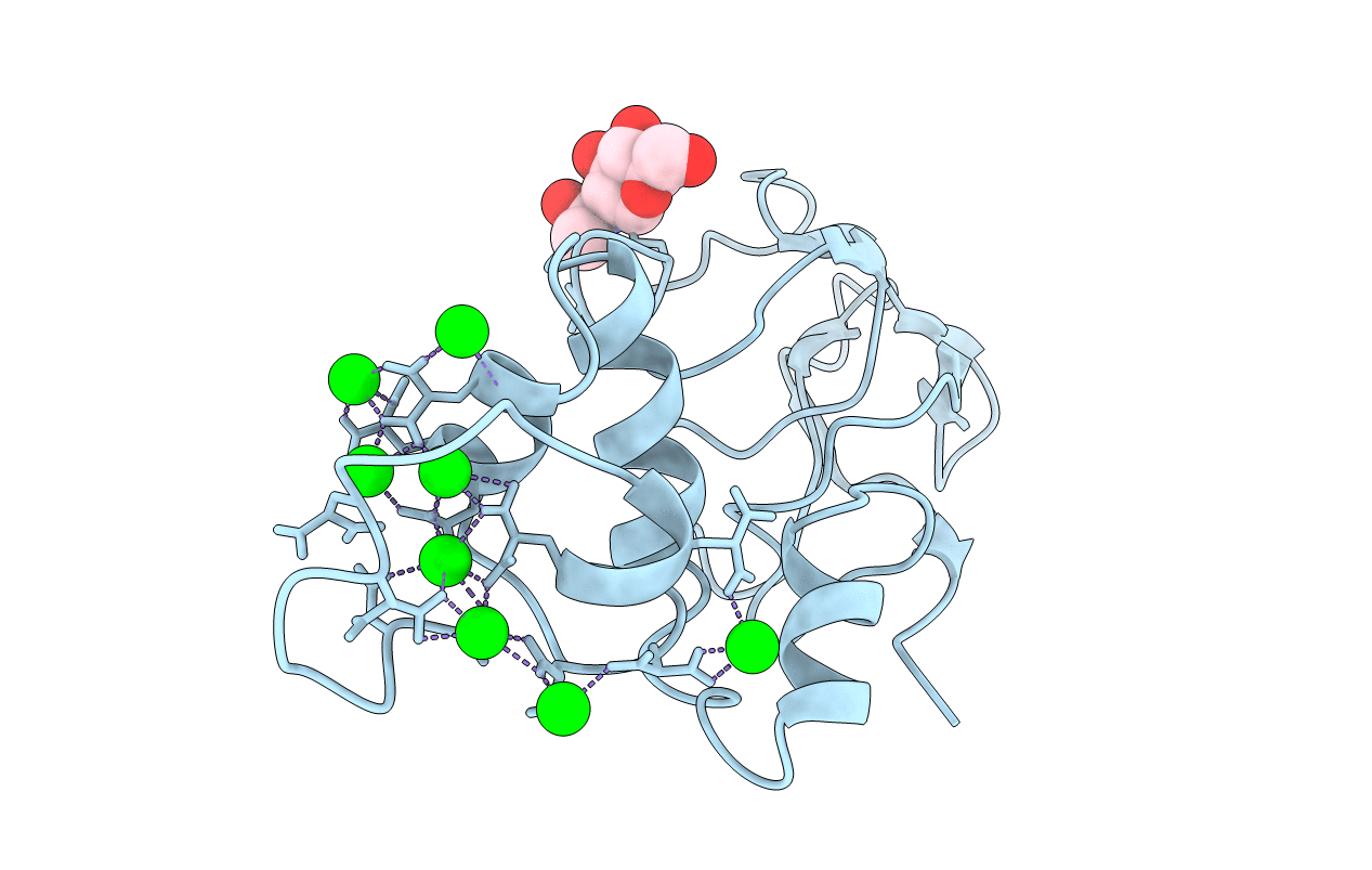 2SPT image