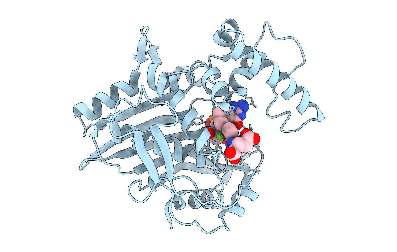 2TDD image
