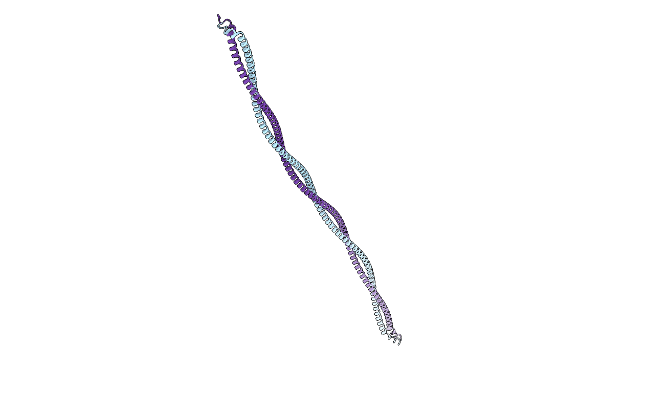 2TMA image