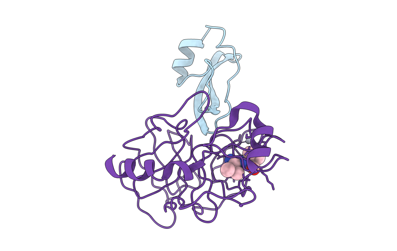 2TPI image