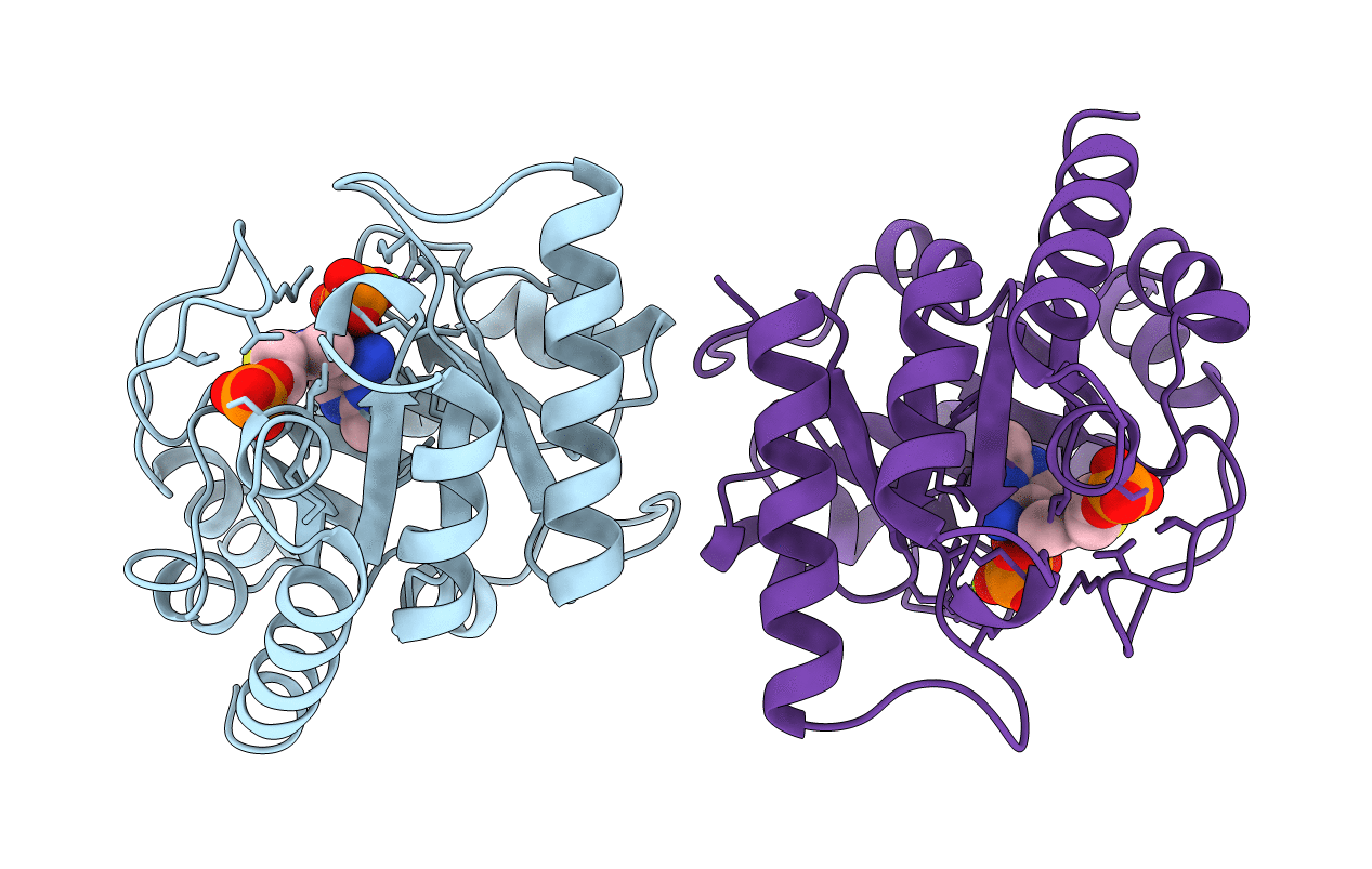 2TPS image