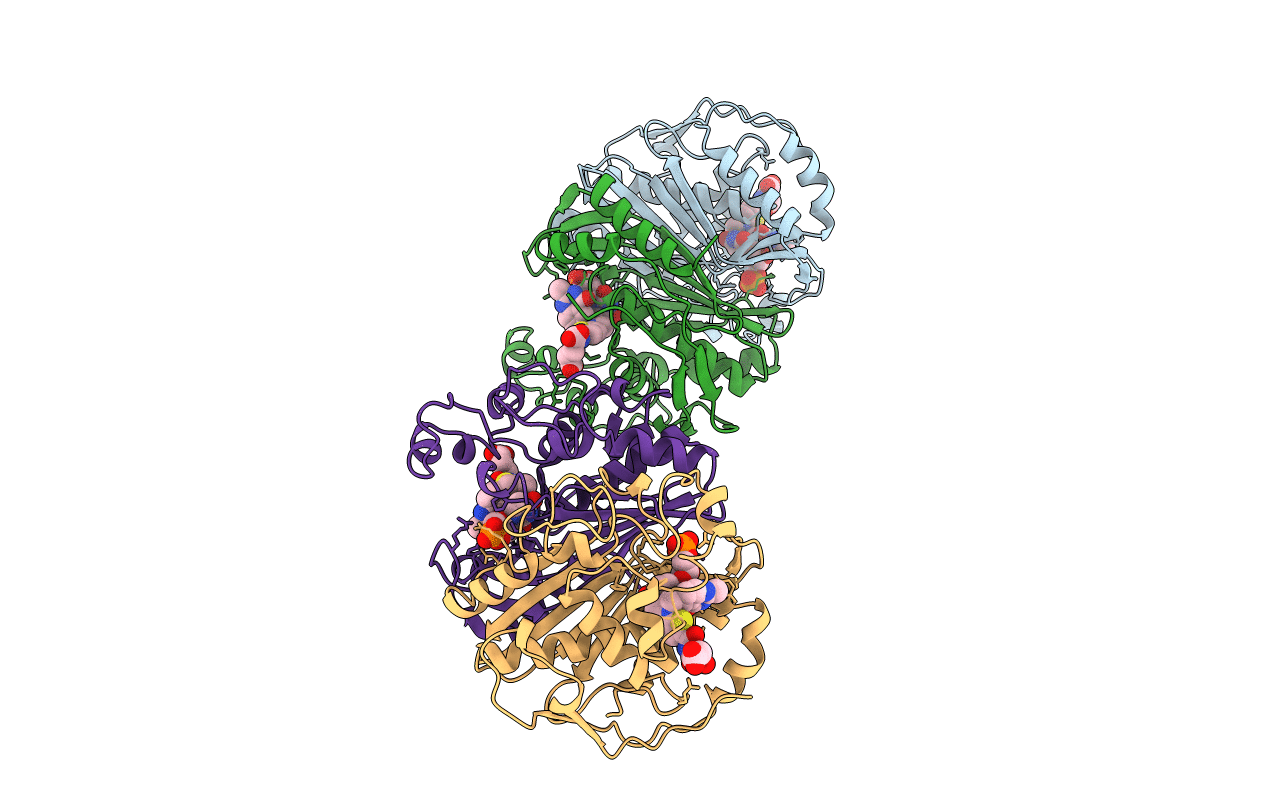 2TSR image