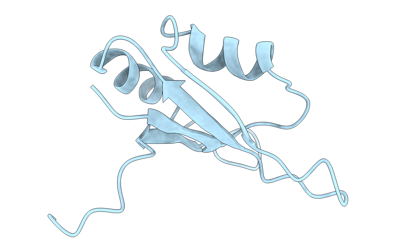 2U2F image