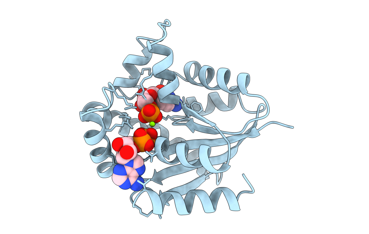 2UKD image
