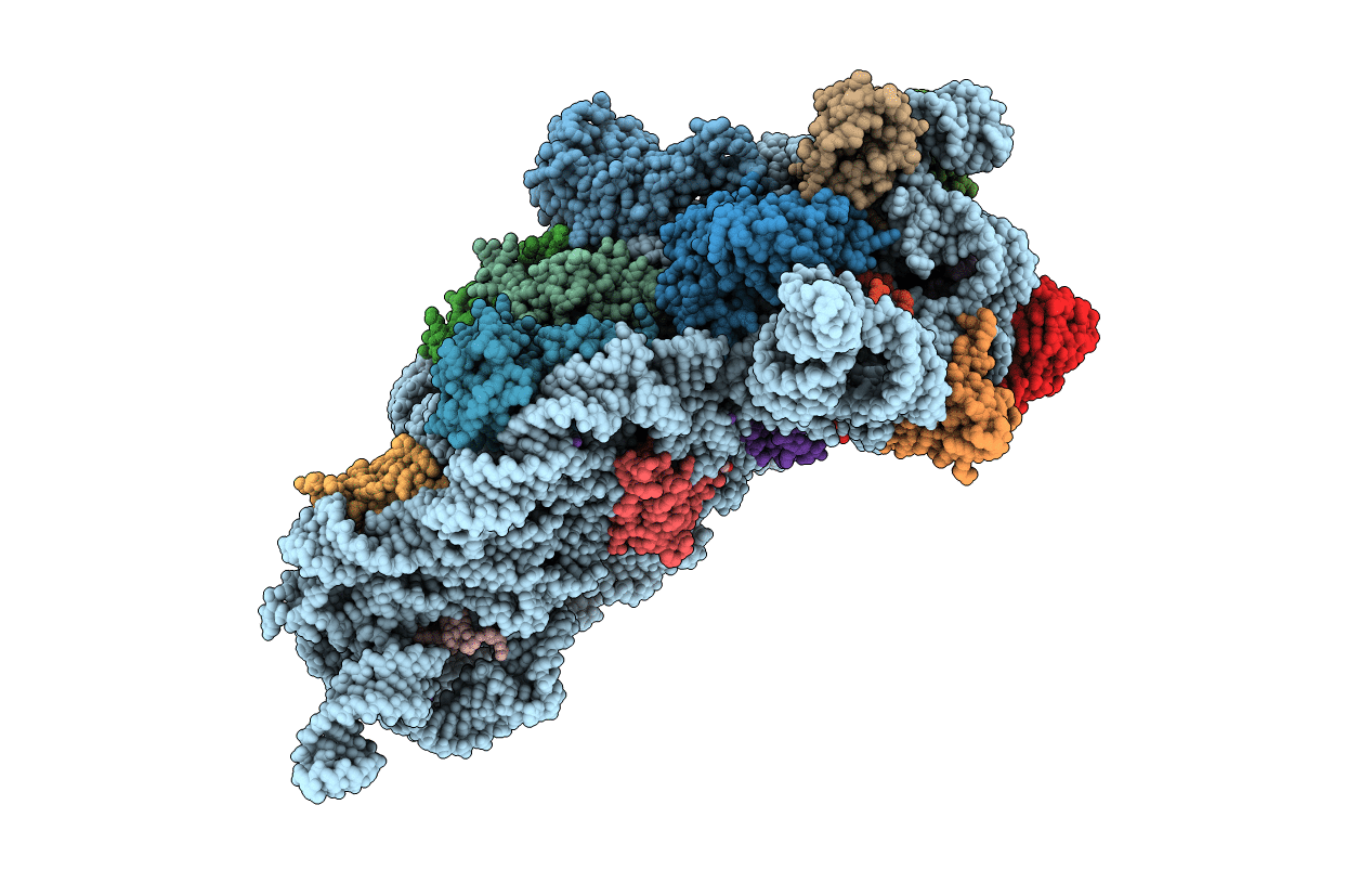 2UUB image