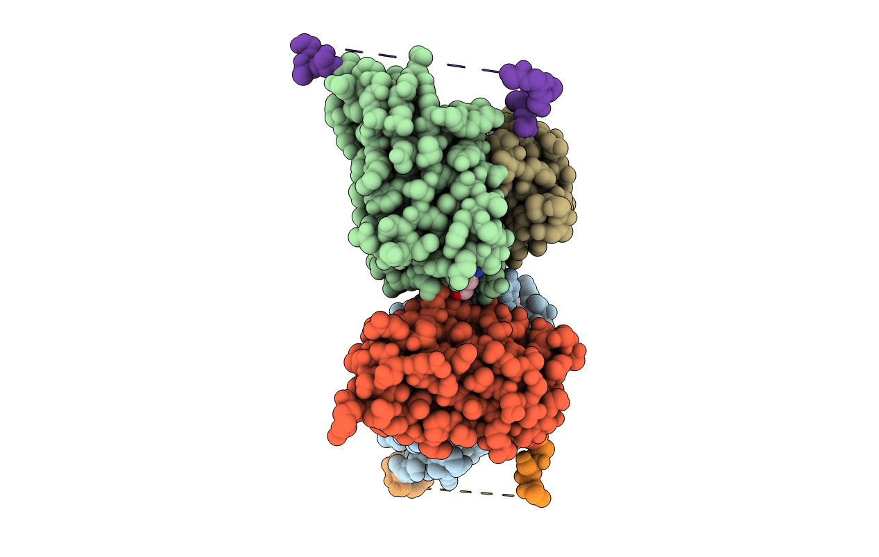 2UUD image