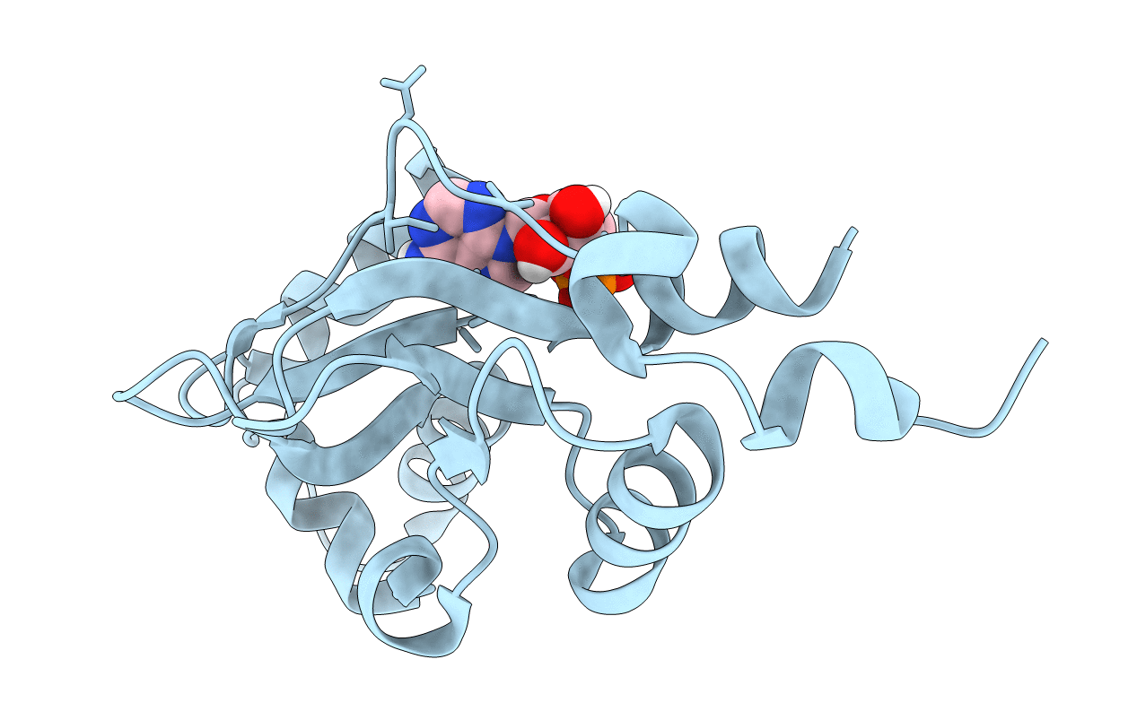 2UV6 image