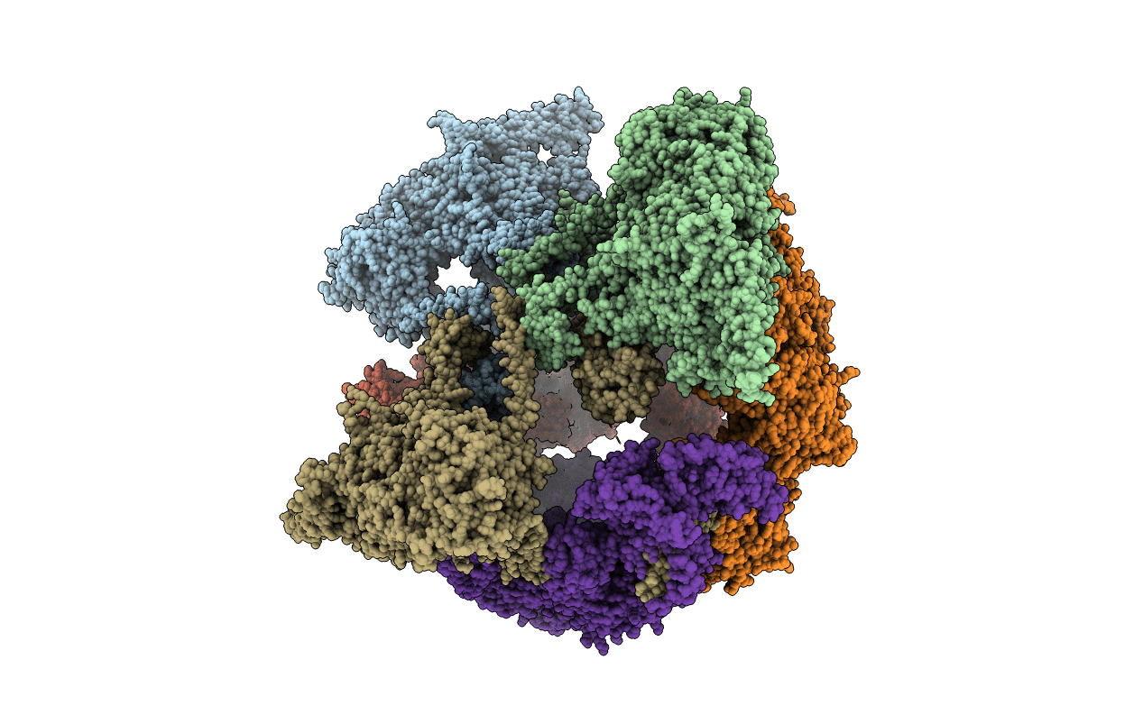 2UV8 image