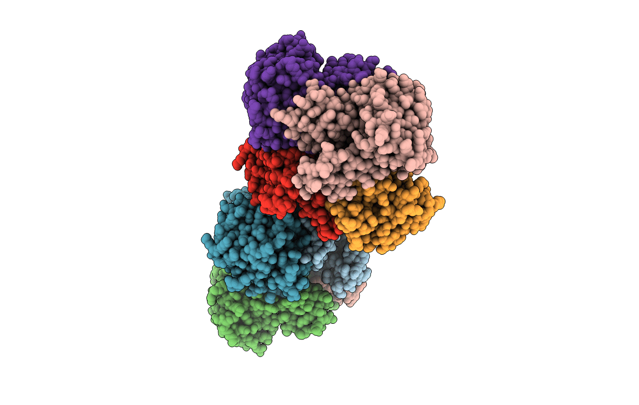 2UVD image