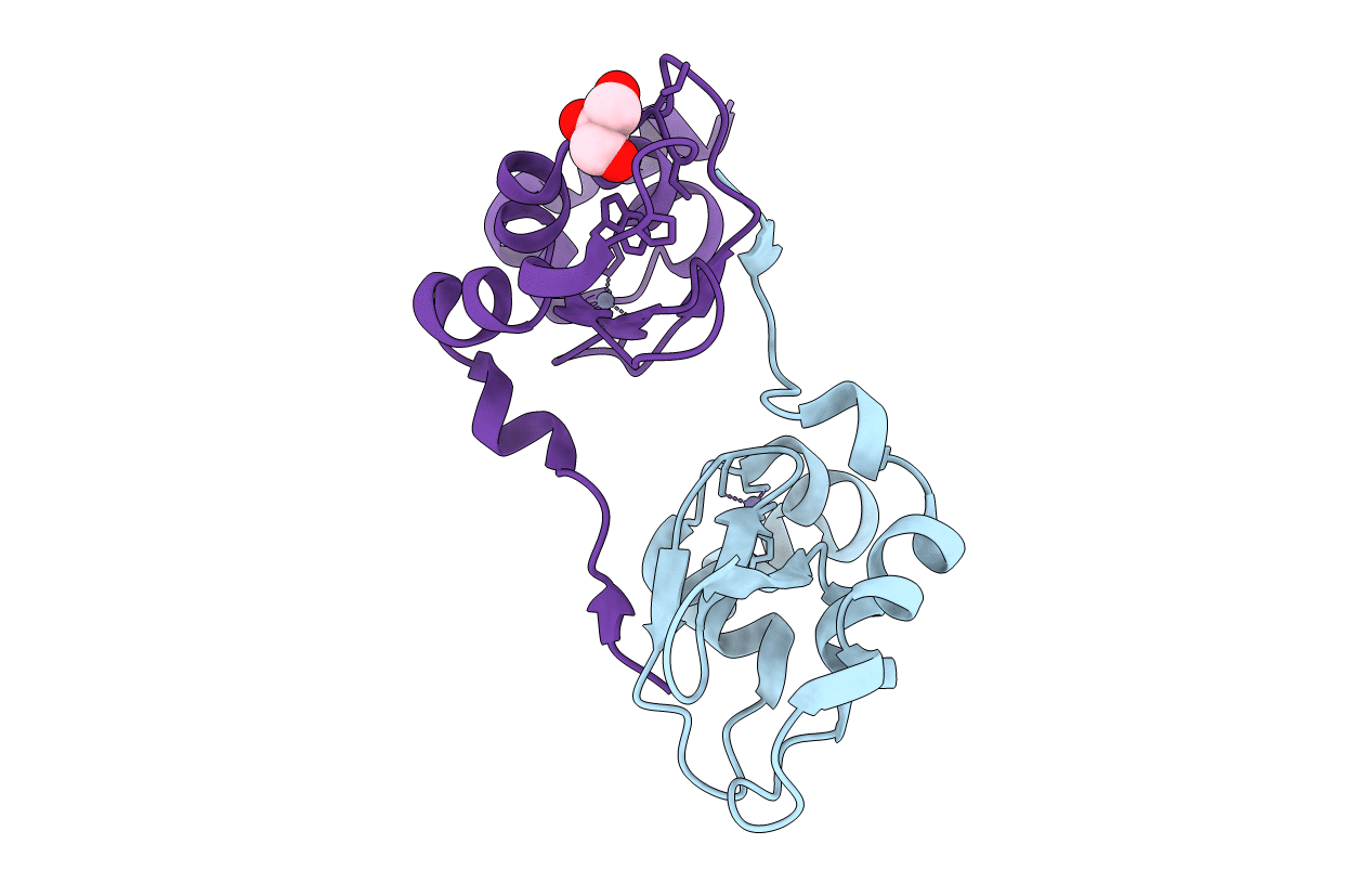 2UVL image