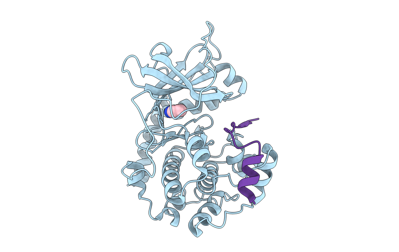 2UVX image