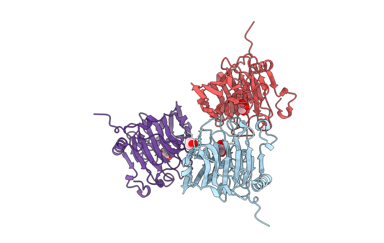 2UWA image