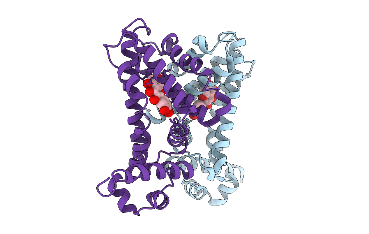 2UXH image