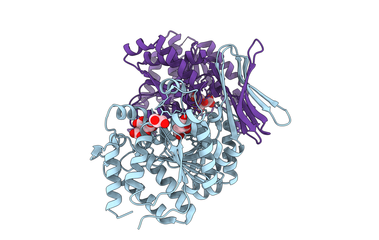 2UXR image