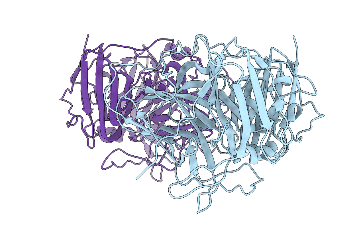 2UXV image