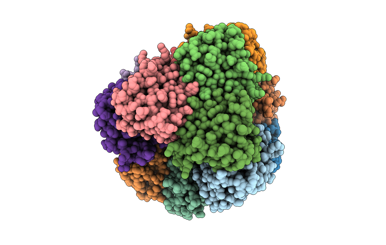 2UYG image
