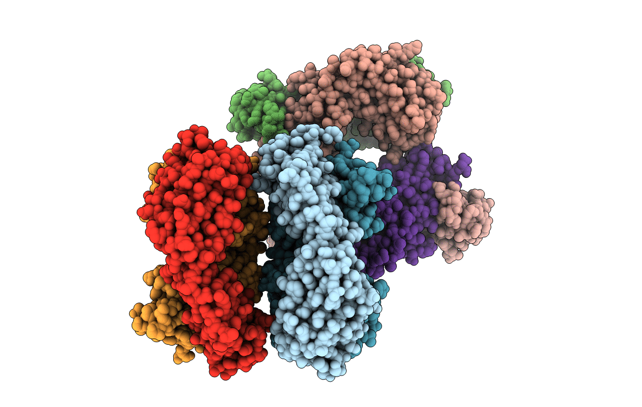 2UYL image