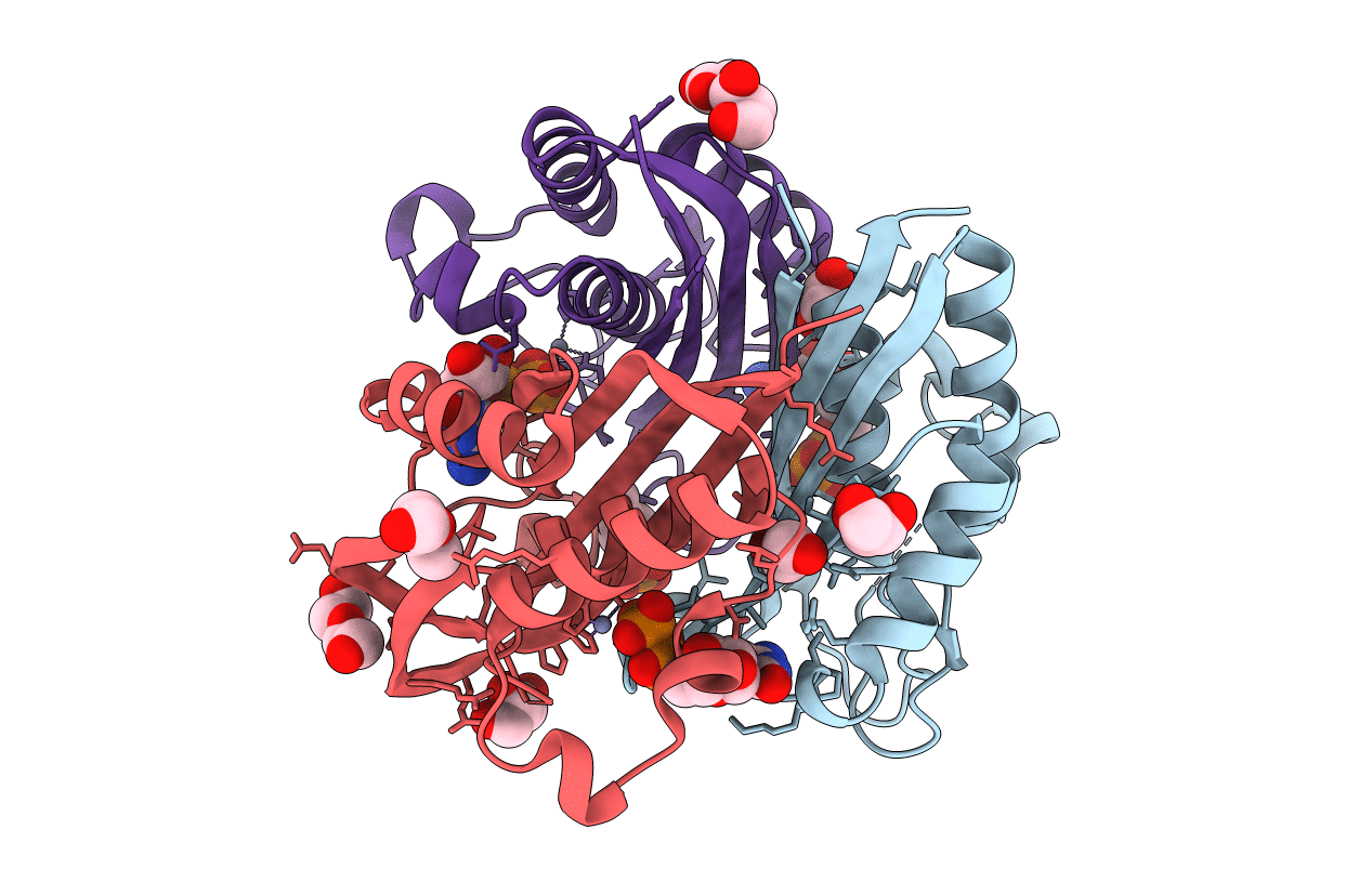 2UZH image
