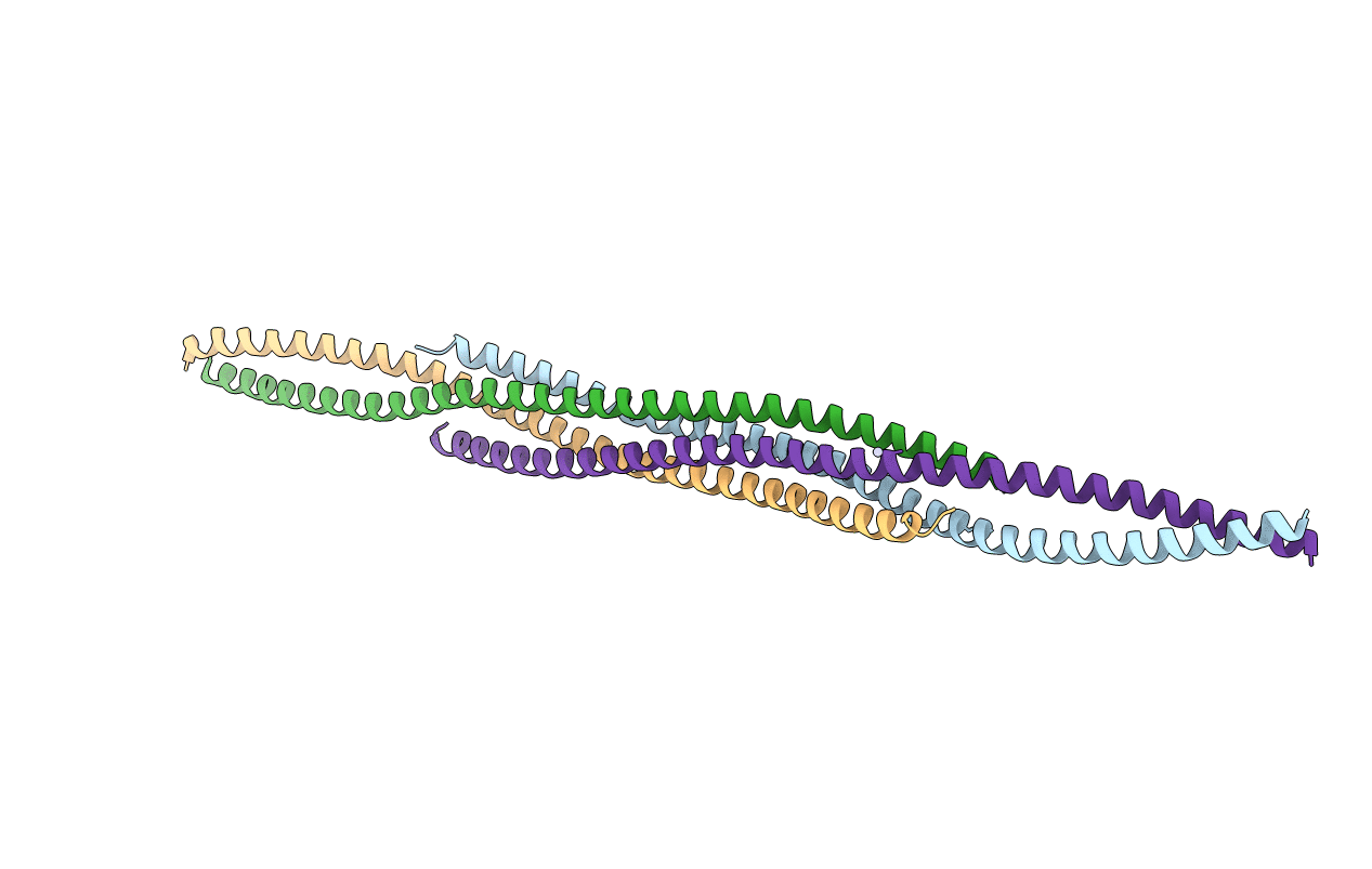 2V66 image