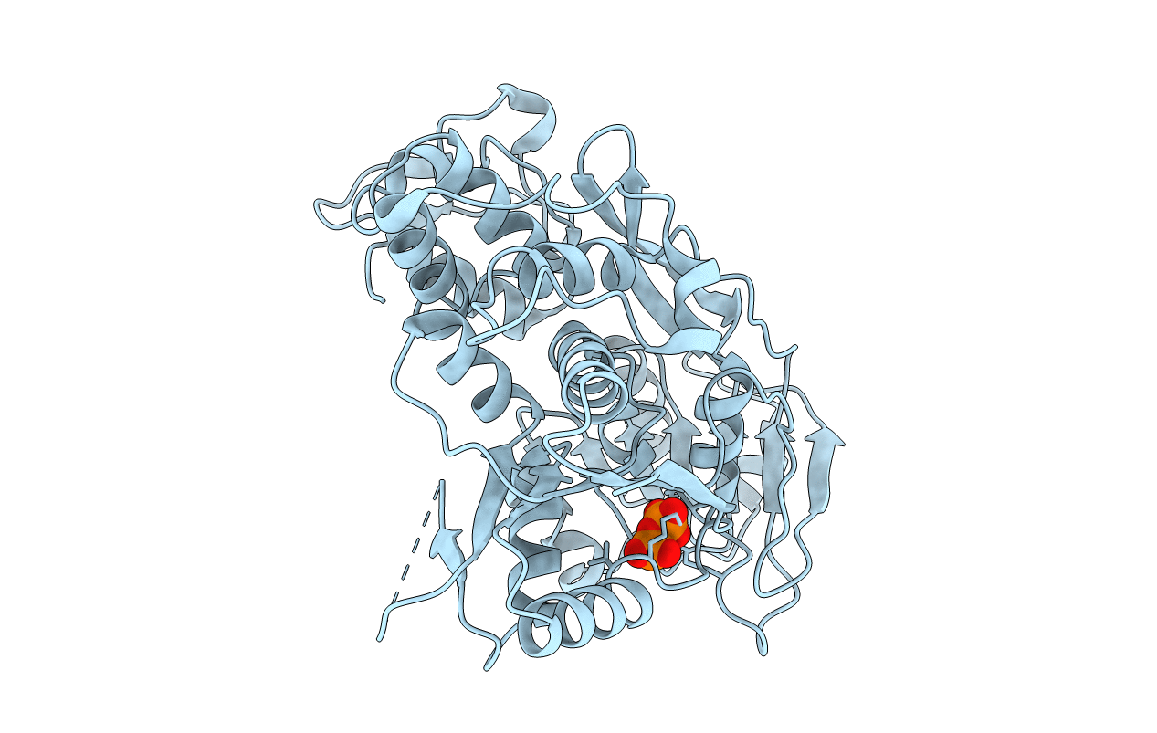 2V6I image
