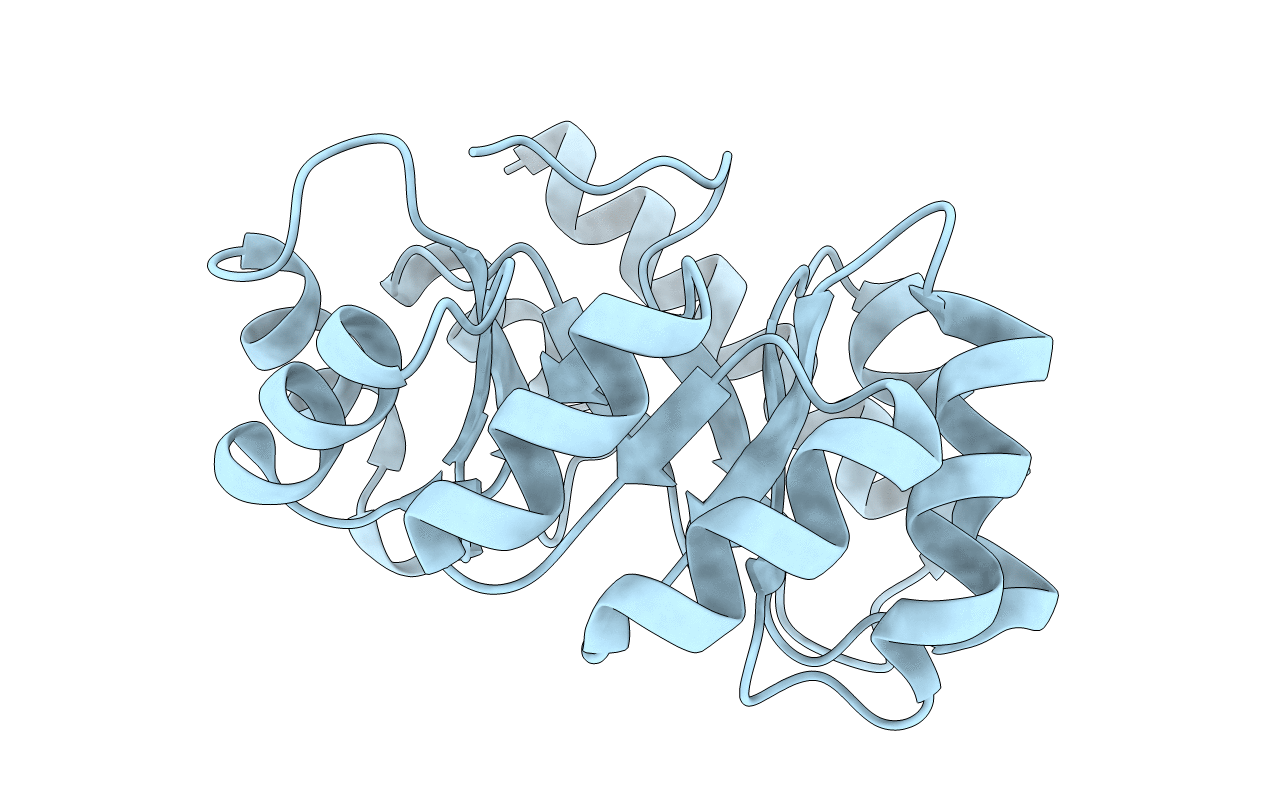 2V81 image