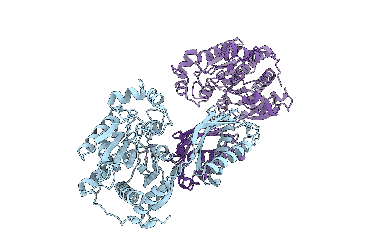2V8D image