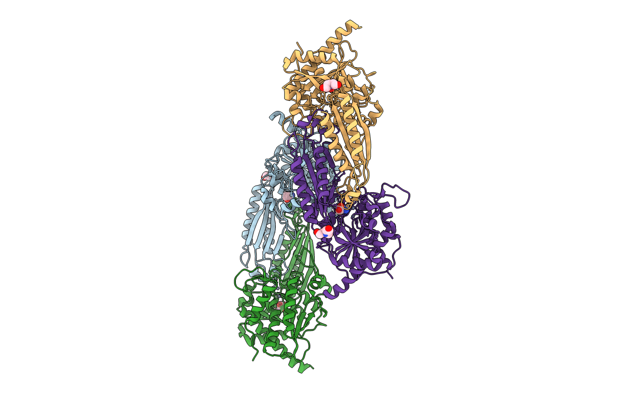 2V8G image