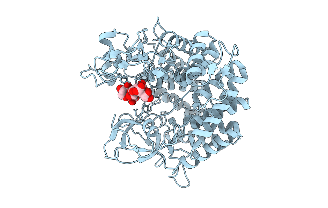 2V8K image