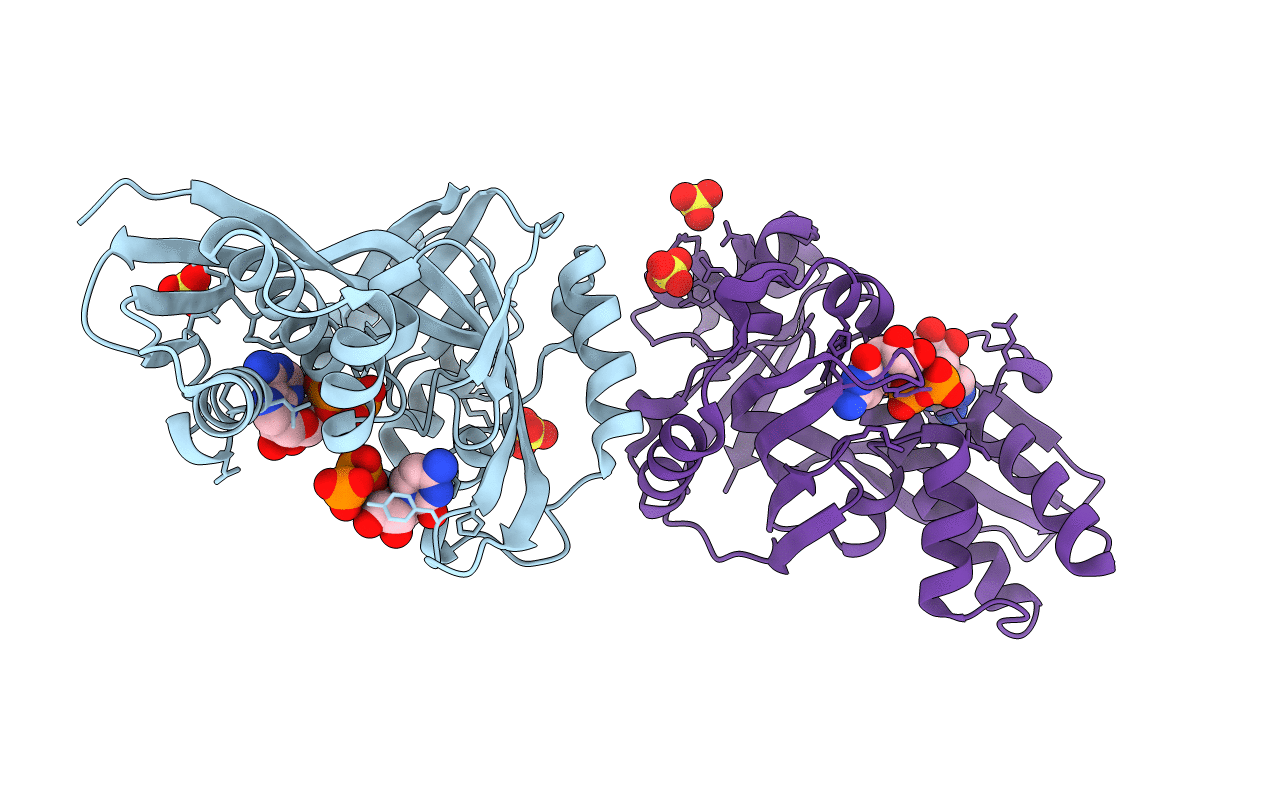2V8P image