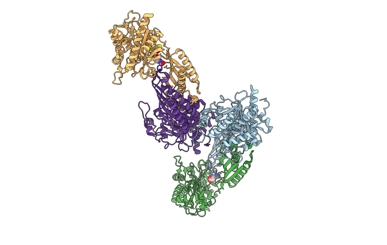 2V8V image