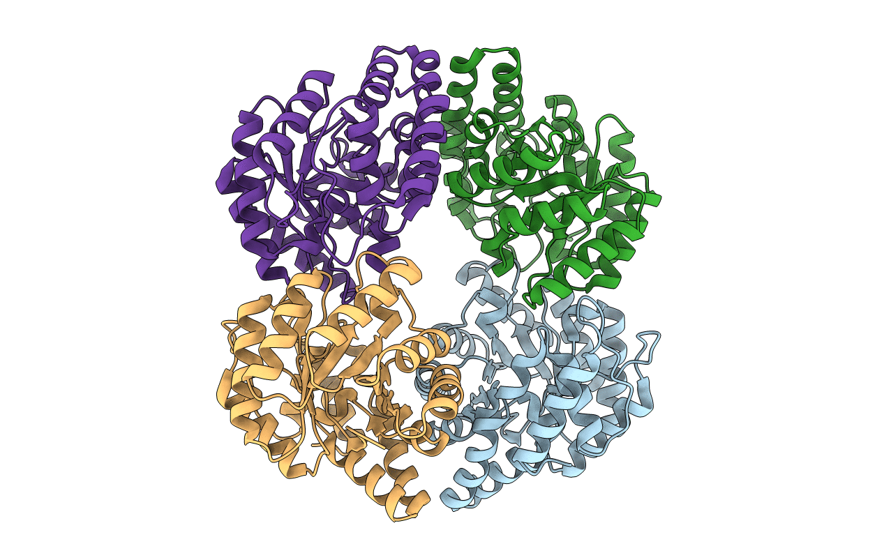2V8Z image