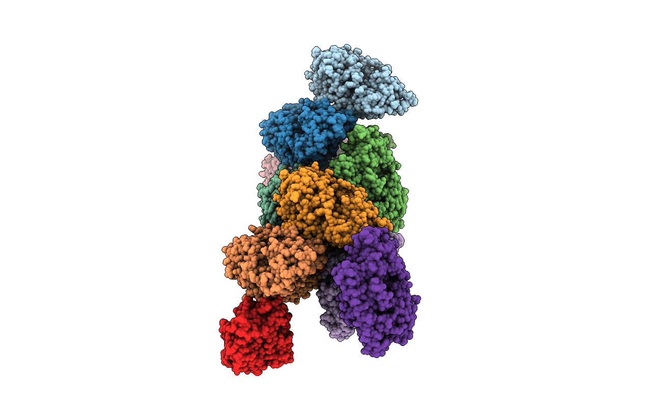 2VAK image