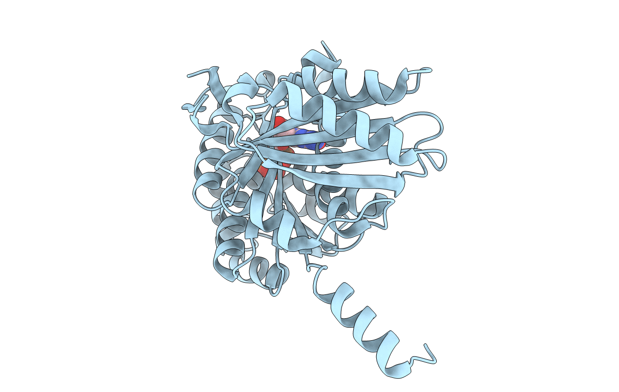 2VAP image