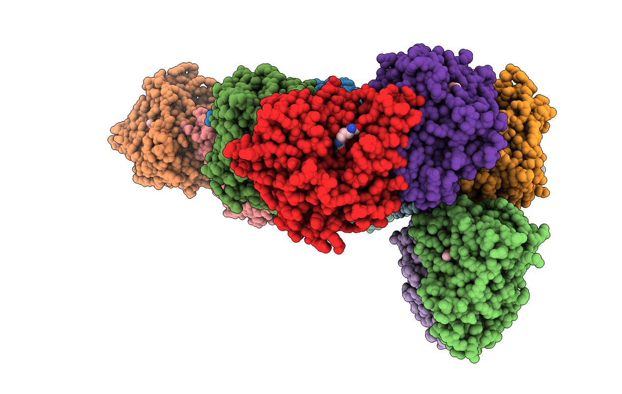 2VAX image